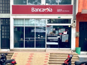 Bancamia